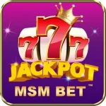 MSM BET APK icon